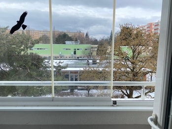 Prodej bytu 3+kk v osobním vlastnictví 73 m², Praha 9 - Prosek