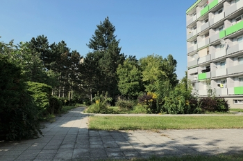 Pronájem bytu 1+kk v osobním vlastnictví 35 m², Hradec Králové