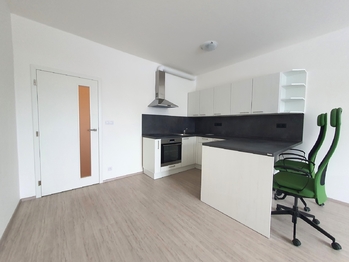 Prodej bytu 1+kk v osobním vlastnictví 40 m², Brno