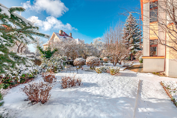 Garden - Prodej domu 464 m², Praha 10 - Vinohrady