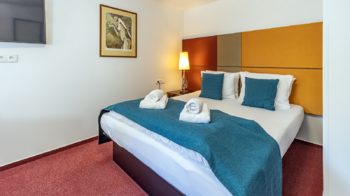 Prodej ubytovacího zařízení 750 m², Mařenice