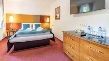 Prodej ubytovacího zařízení 750 m², Mařenice