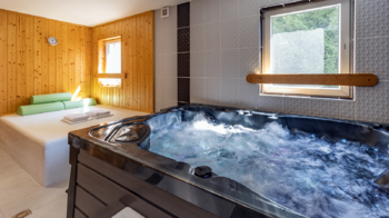 Prodej ubytovacího zařízení 750 m², Mařenice