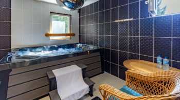 Prodej ubytovacího zařízení 750 m², Mařenice