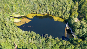 Prodej ubytovacího zařízení 750 m², Mařenice