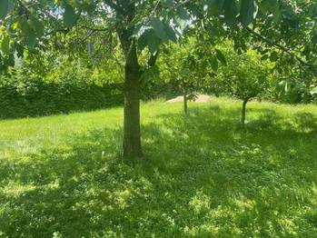 Prodej domu 198 m², Loučim