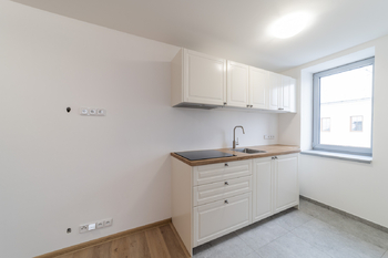 Prodej jiných prostor 79 m², Nový Malín