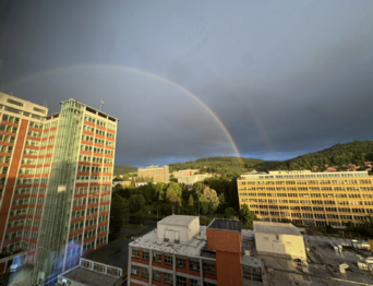 Pronájem bytu atypický v osobním vlastnictví 41 m², Zlín