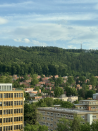 Pronájem bytu atypický v osobním vlastnictví 41 m², Zlín