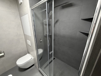 Pronájem bytu 1+1 v osobním vlastnictví 38 m², Ostrava