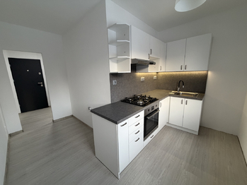 Pronájem bytu 1+1 v osobním vlastnictví 38 m², Ostrava