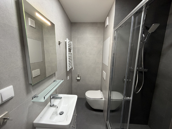 Pronájem bytu 1+1 v osobním vlastnictví 38 m², Ostrava