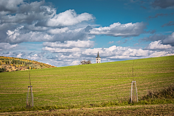 Prodej pozemku 1470 m², Nedachlebice