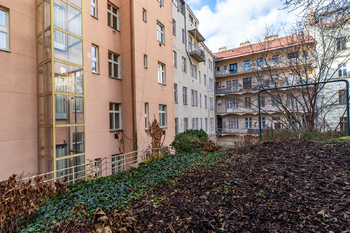 Dvorek domu - Prodej bytu 3+1 v osobním vlastnictví 83 m², Praha 3 - Žižkov