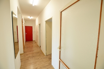Pronájem bytu 3+1 v družstevním vlastnictví 64 m², Havířov