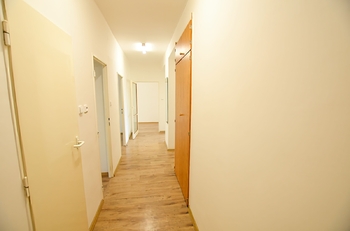 Pronájem bytu 3+1 v družstevním vlastnictví 64 m², Havířov