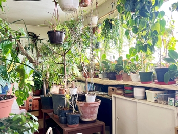 Byt v 1. patře 3+1 - Prodej domu 240 m², Hrob