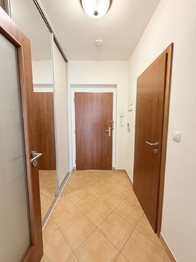 Pronájem bytu 1+kk v osobním vlastnictví 38 m², Praha 5 - Zličín