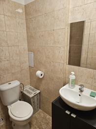 koupelna se sprchovým koutem - Pronájem bytu 1+kk v osobním vlastnictví 30 m², Kladno