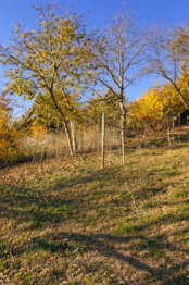 Prodej chaty / chalupy 71 m², Třebotov