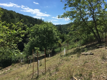 Prodej chaty / chalupy 71 m², Třebotov