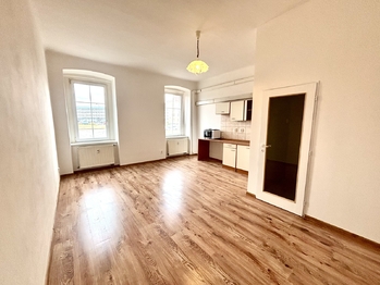 Pronájem bytu 1+kk v osobním vlastnictví 30 m², Plzeň