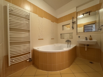 Pronájem bytu 1+kk v osobním vlastnictví 45 m², Olomouc