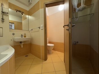 Pronájem bytu 1+kk v osobním vlastnictví 45 m², Olomouc