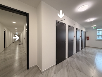 komora na patře - Pronájem bytu 3+kk v osobním vlastnictví 81 m², České Budějovice