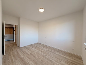 ložnice - Pronájem bytu 3+kk v osobním vlastnictví 81 m², České Budějovice