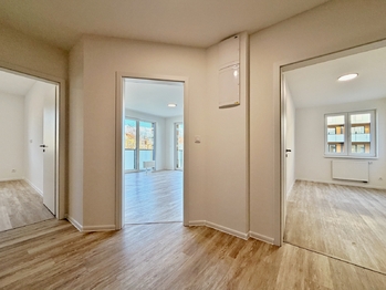 vstup - Pronájem bytu 3+kk v osobním vlastnictví 81 m², České Budějovice