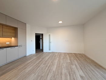 obývací pokoj s kuchyní - Pronájem bytu 3+kk v osobním vlastnictví 81 m², České Budějovice