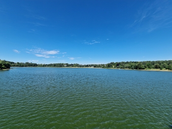 Prodej pozemku 723 m², Seč