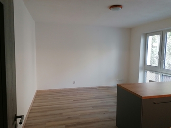 Pronájem bytu 1+kk v družstevním vlastnictví 29 m², České Budějovice