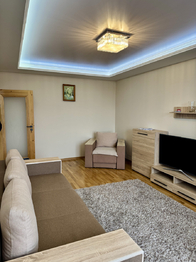 Pronájem bytu 2+1 v osobním vlastnictví 60 m², Karlovy Vary