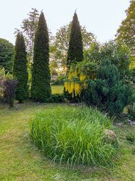 Prodej domu 160 m², Velká Bukovina