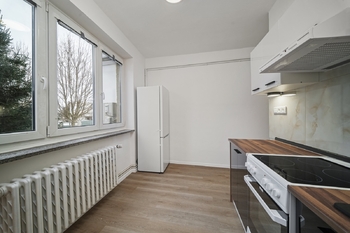 Pronájem bytu 1+1 v osobním vlastnictví 38 m², Němčice nad Hanou