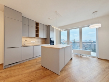 obývací pokoj s kuchyní - Pronájem bytu 3+kk v osobním vlastnictví 87 m², České Budějovice 