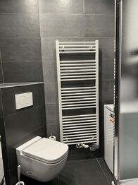 Pronájem bytu 2+kk v osobním vlastnictví 52 m², Praha 3 - Vinohrady