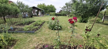 Prodej pozemku 474 m², Odolena Voda