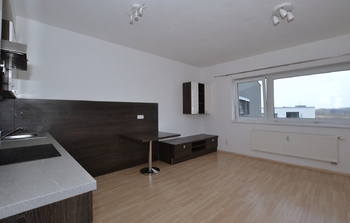 Pronájem bytu 1+kk v osobním vlastnictví 32 m², Plzeň