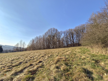 Prodej pozemku 1727 m², Vidče