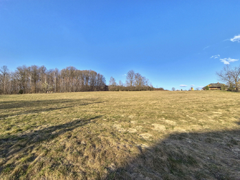 Prodej pozemku 1727 m², Vidče