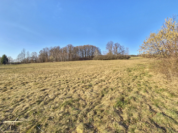 Prodej pozemku 1727 m², Vidče