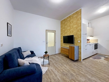 Pronájem bytu 1+kk v osobním vlastnictví 30 m², Suchdol nad Lužnicí