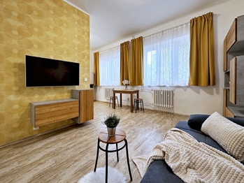 Pronájem bytu 1+kk v osobním vlastnictví 30 m², Suchdol nad Lužnicí