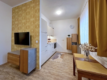 Pronájem bytu 1+kk v osobním vlastnictví 30 m², Suchdol nad Lužnicí