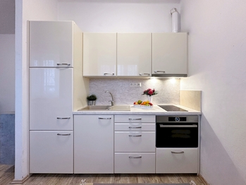 Pronájem bytu 1+kk v osobním vlastnictví 30 m², Suchdol nad Lužnicí