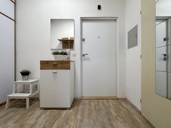 Pronájem bytu 1+kk v osobním vlastnictví 30 m², Suchdol nad Lužnicí