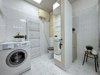 Pronájem bytu 1+kk v osobním vlastnictví 30 m², Suchdol nad Lužnicí